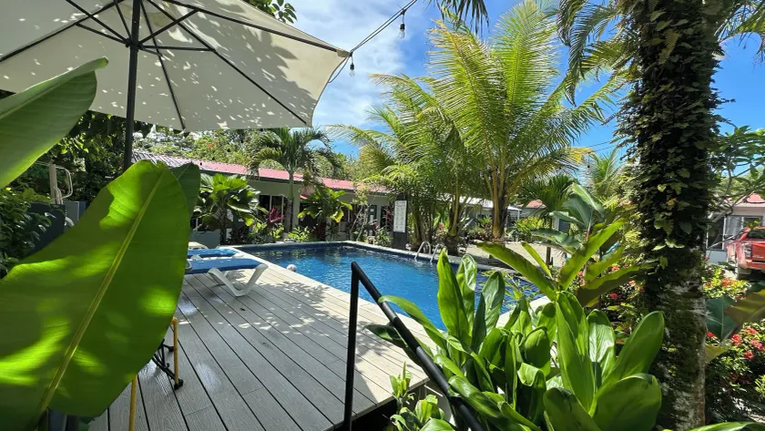 Rooms & Pool Macaws - Image 1