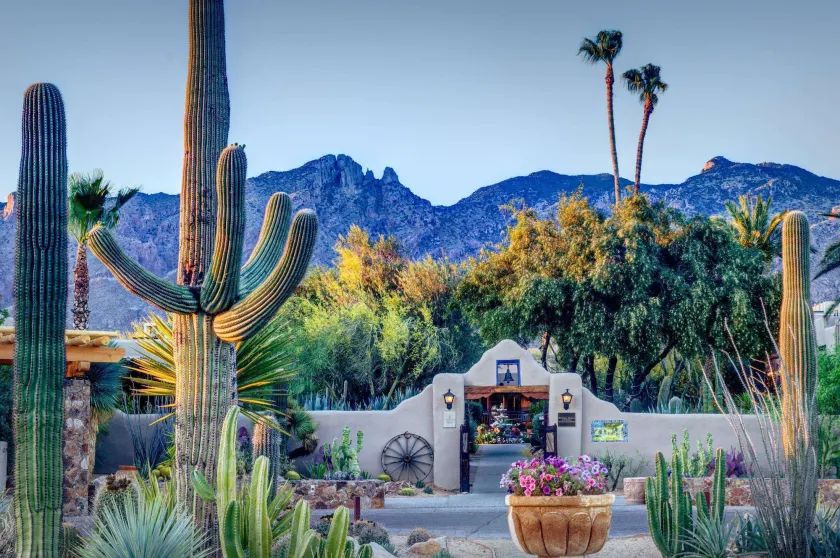 Hacienda del Sol Guest Ranch Resort - Image 1