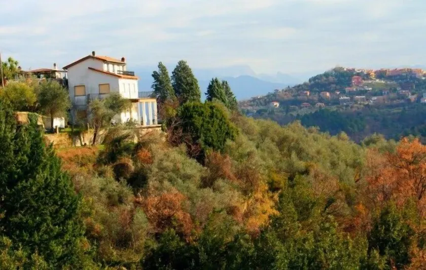 Oliva Azzurra - Image 1