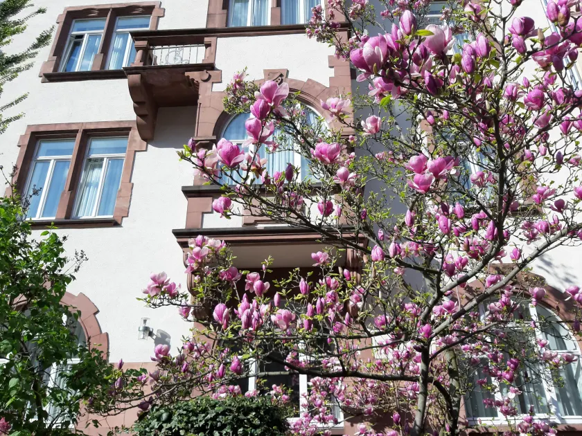 Art-Hotel Robert Mayer - Image 1