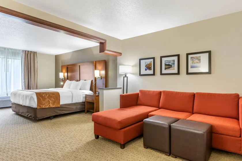Comfort Suites Grand Rapids North - Image 1