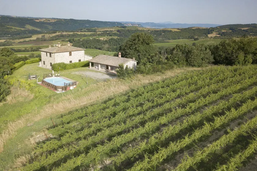 Tenuta di Corbara  - Image 1