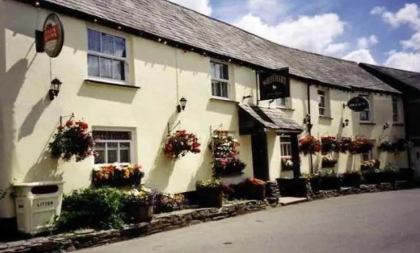 White Hart Cottage, Menheniot, Nr Looe - Image 1