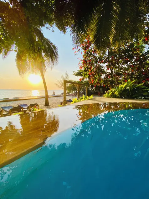 Mangrove Lodge - Image 1