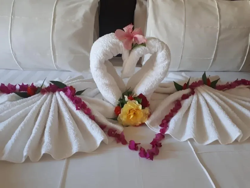 Zeny Lodge - Room