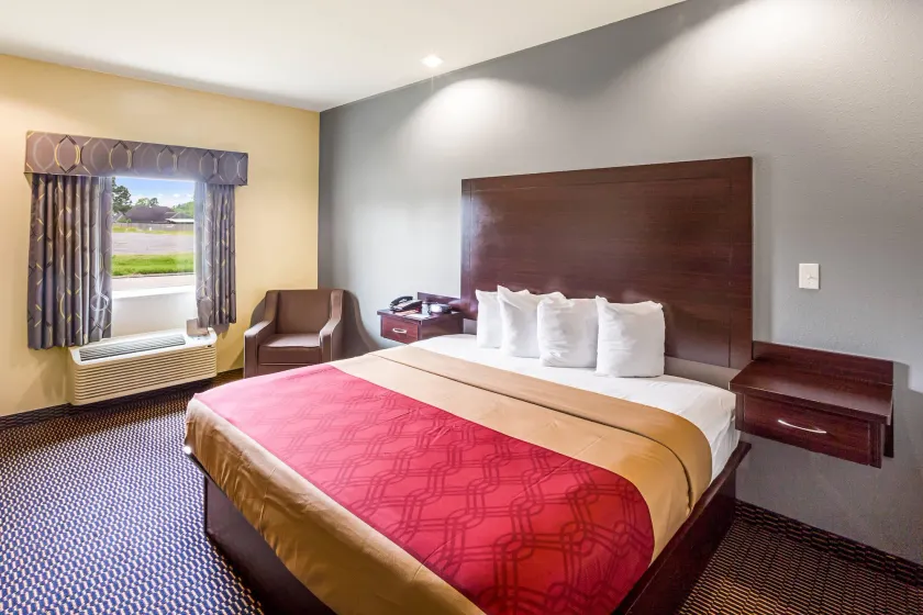 Econo Lodge Baton Rouge University Area - Image 1