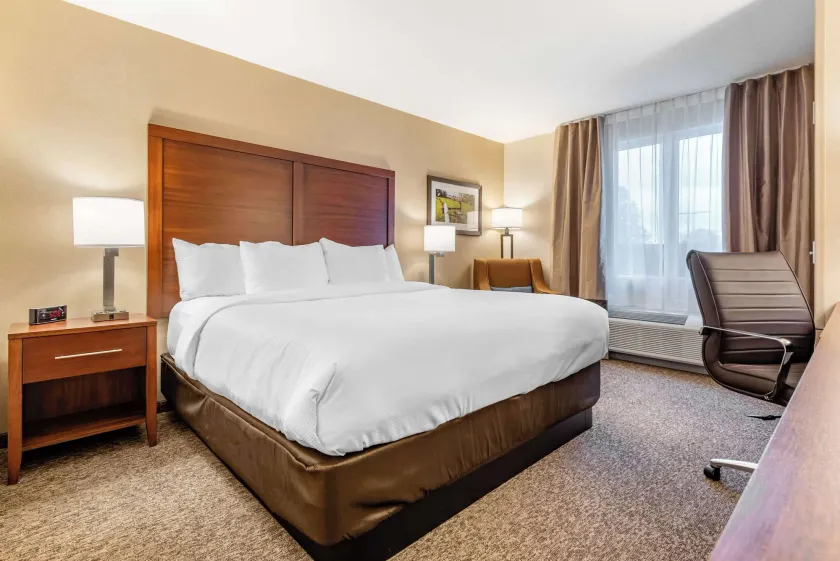 Comfort Inn & Suites - Image 1