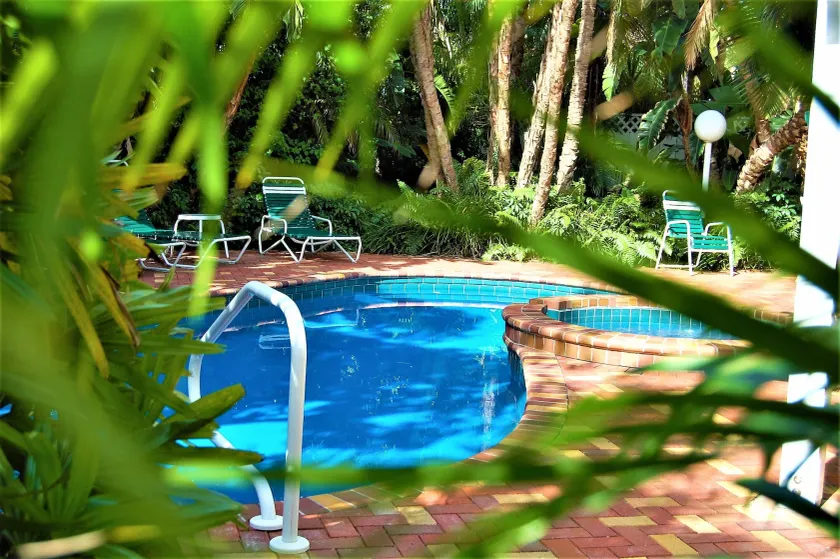 Siesta Key Palms - Image 1