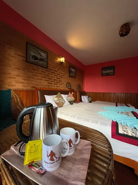 Shiva Guest House - Habitación