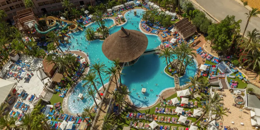 Magic Tropical Splash - Image 1