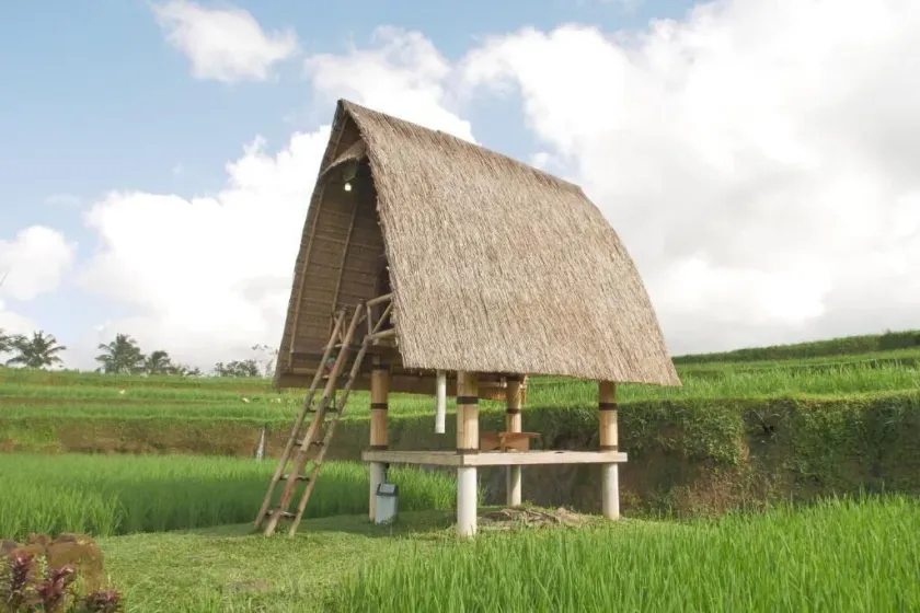 Swaha Retreat & Eco Park Ubud - Image 1