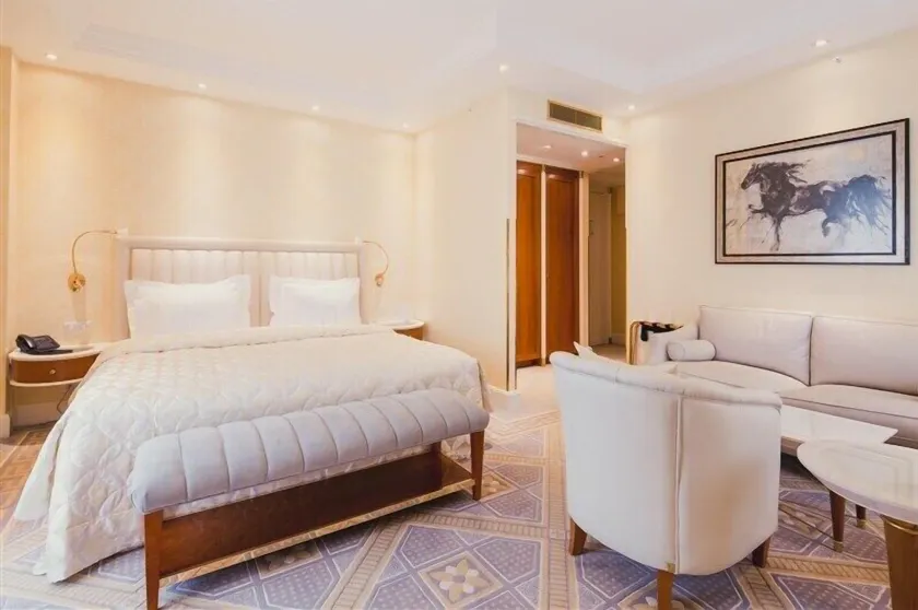 Atli Hotel Ankara - Room