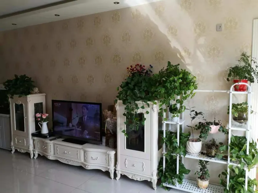 Xiao's Apartment - Image 1