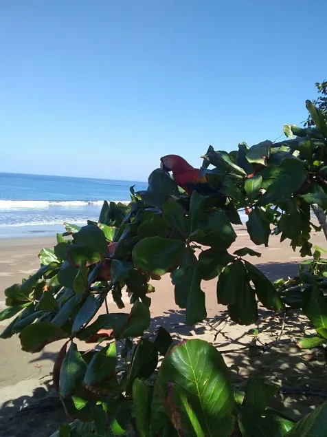 Cabinasyafethosa caletas - Chambre