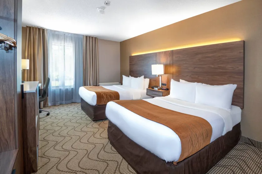 Comfort Inn Lakeshore - Image 1