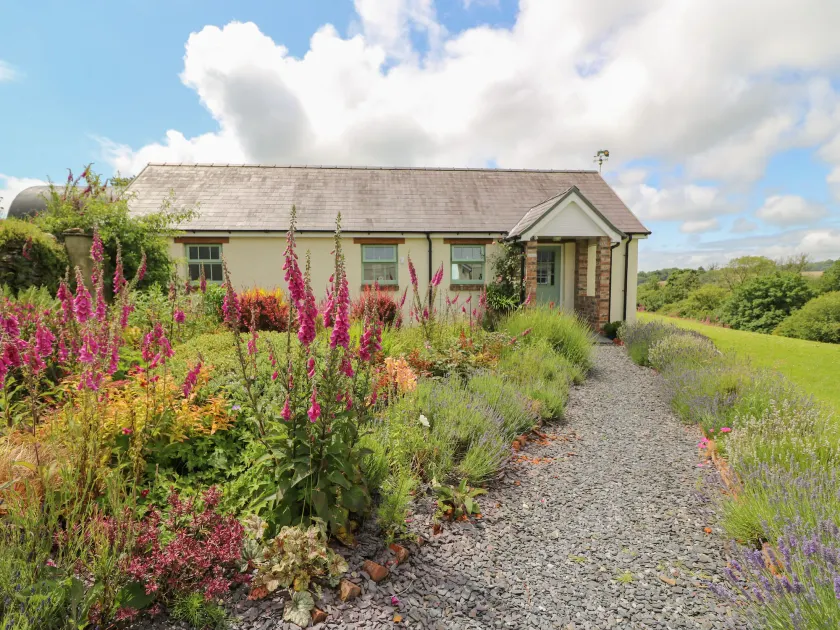 Blaenffynnon Bach - Image 1