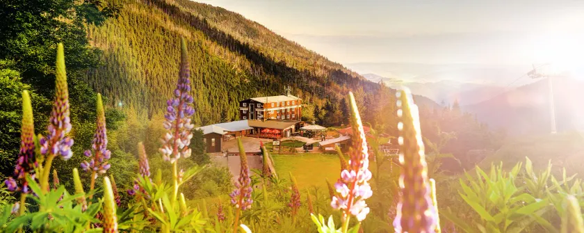 Hotel Srdiečko - Image 1