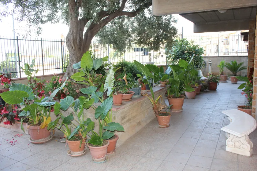 B&B Ulivo - Image 1