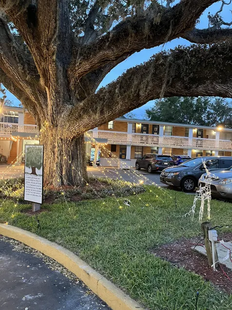 Castillo Inn - Image 1