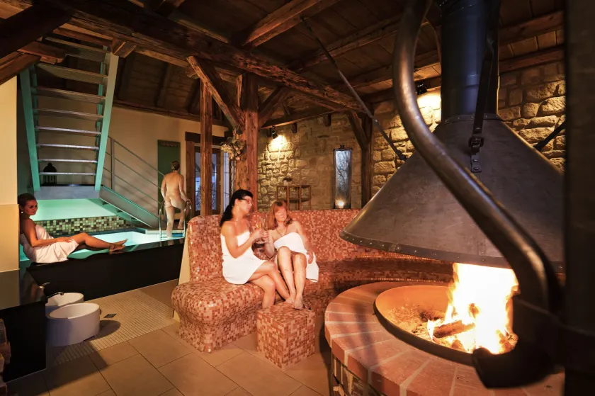 Spa Resort Landlust Dresden - Image 1