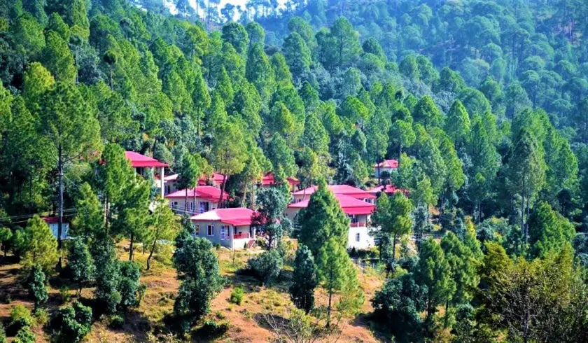 Majkhali Woods, Ranikhet, By Himalayan Eco Lodges - Image 1