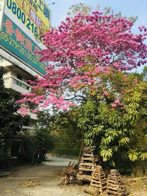 Rural Area Hotel - Image 1