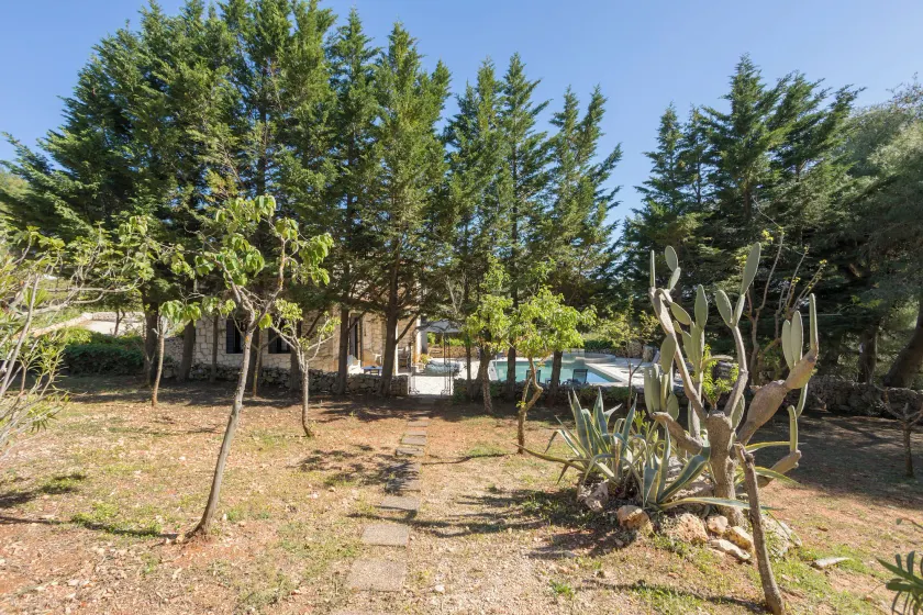 Aresti Mountain Resort - Image 1