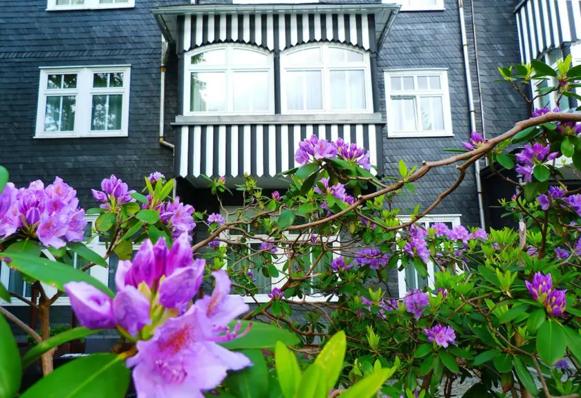 Hotel Schieferhof - GlasLUST - Image 1