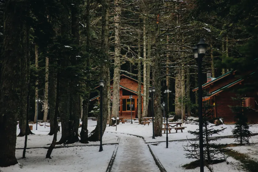 Karinna Forest Houses - Image 1