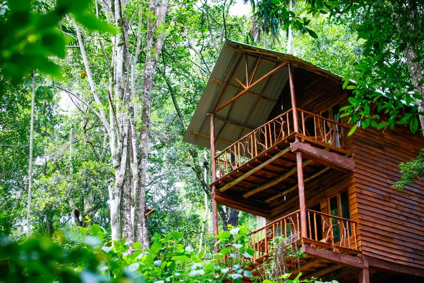 ELLA Eco Lodge, Wellness & Yoga retreat - Image 1