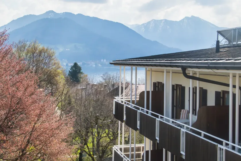 Hotel Rex - Image 1