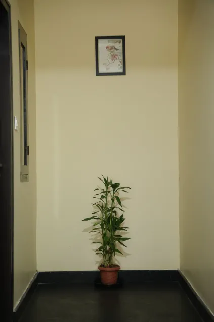 Goldsuite - Entrada interior