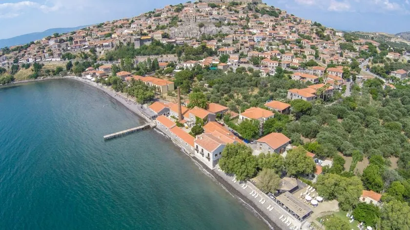 Olive Press Hotel - Image 1