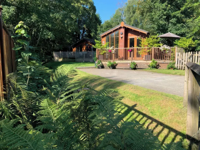 Tiggywinkle Beck Lodge - Image 1