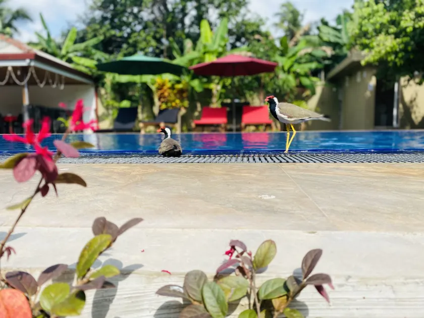 The Kingslayer Resort - Image 1