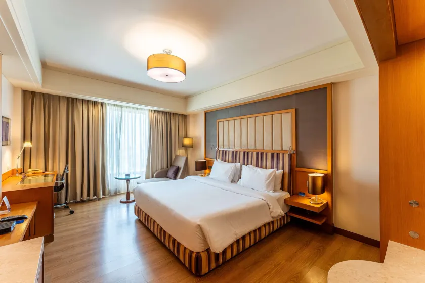 Radisson Blu Hotel, Indore - Image 1
