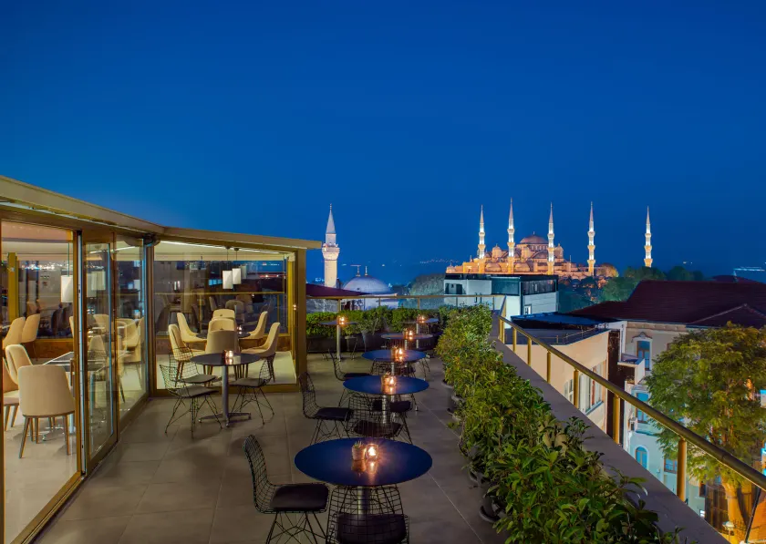 Tan Hotel - Special Category - Image 1