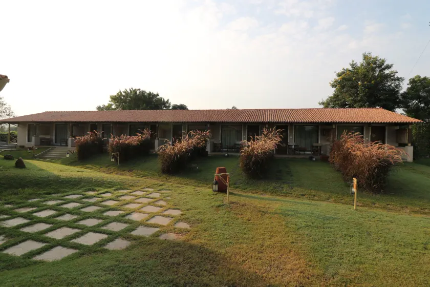 Asiatic Lion Lodge - Image 1