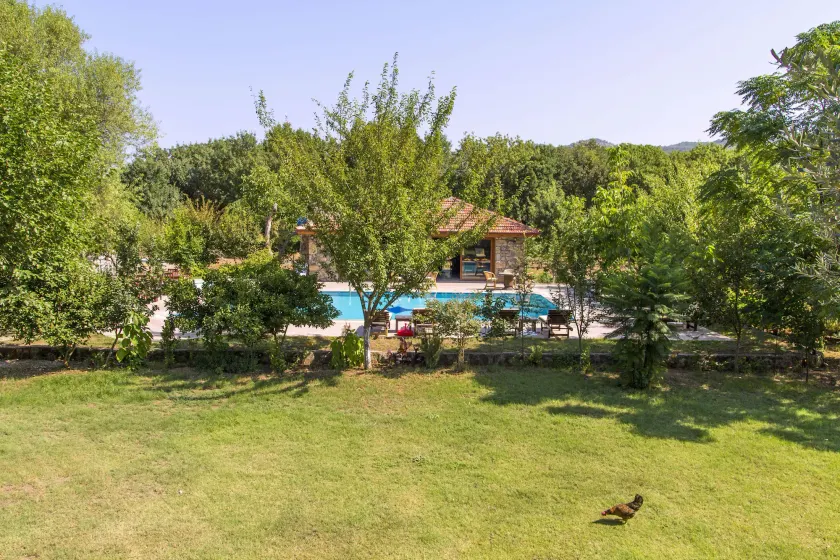 Doga Apartments - Image 1