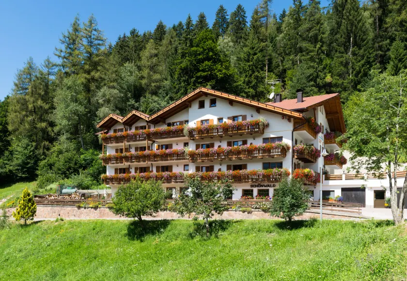 Aktiv Hotel Schönwald - Image 1