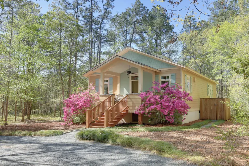 On-site Creek! Peaceful Wooded Retreat in Havelock - Image 1