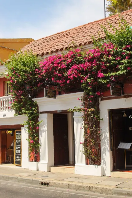 Life is Good Cartagena Hostel - Image 1