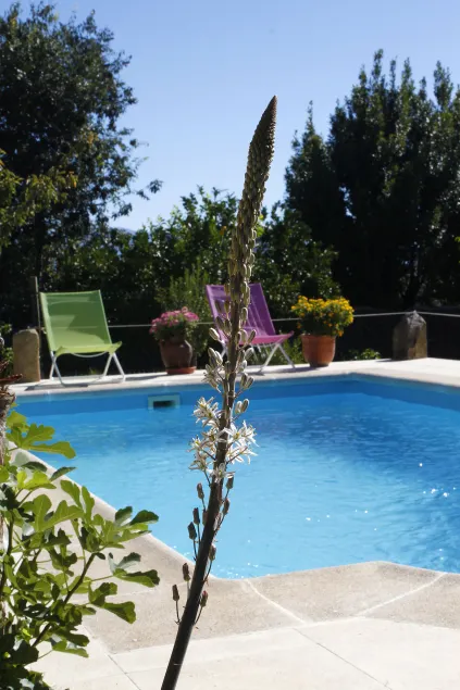 Casa Rural La Solana per 4 persone - Image 1