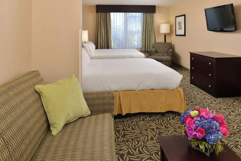 Holiday Inn Express & Suites Fresno River Park Hwy 41 by IHG - Værelse