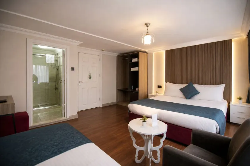 Genius Hotel Istanbul - Image 1