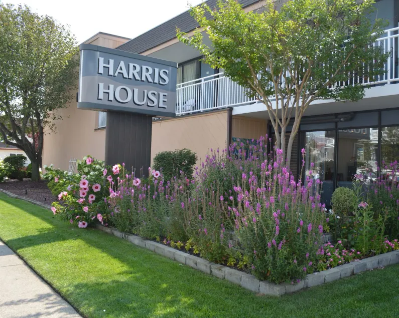 Harris House by the Beach - Image 1