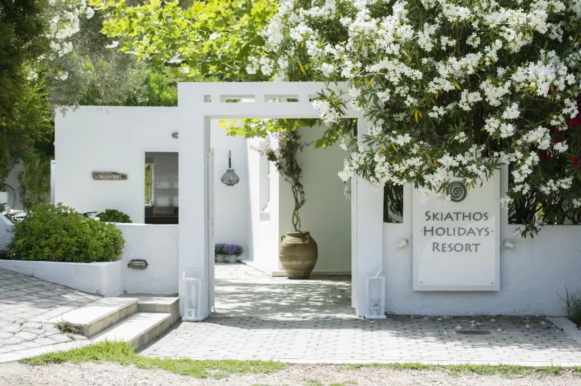 Skiathos Holidays - Image 1