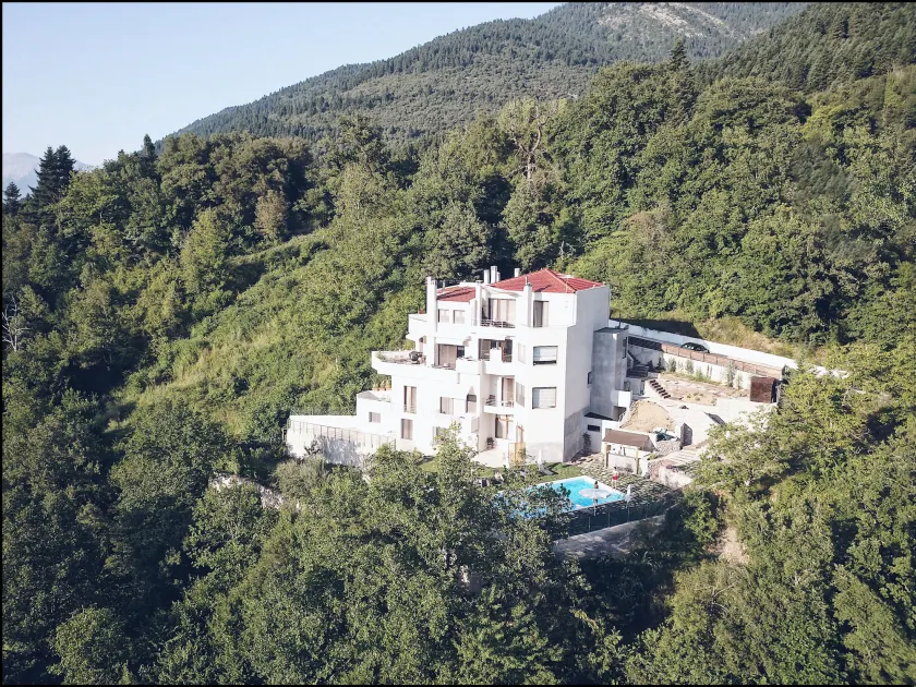 Forest Suites Boutique Hotel - Image 1