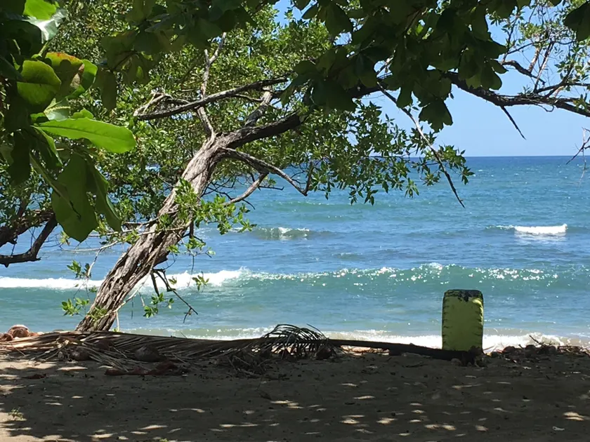 You Imagine Costa Rica Our Location Being on the Beach is What You Imagine - Image 1