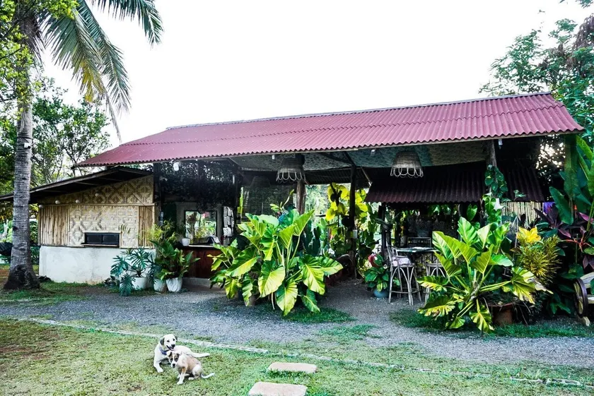 Banlaw Garden Resort - Réception